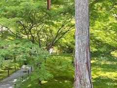 -三千院