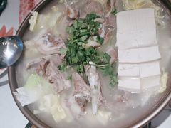 -杨氏青龙虾·羊蝎子(托乐嘉店)