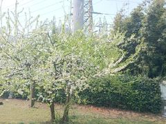 -四川师范大学（成龙校区）-图书馆