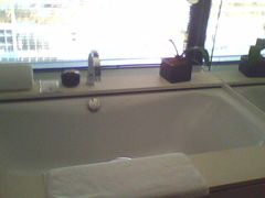 IMG1674A-上海璞麗酒店