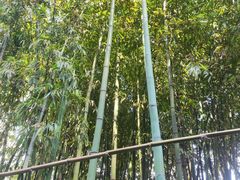 -罔极寺