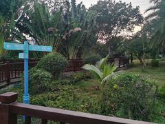 -金鸡岭桥头公园