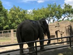 -上海动物园(地铁站)