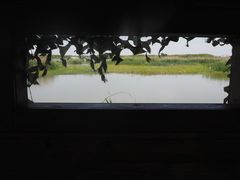 -同里国家湿地公园