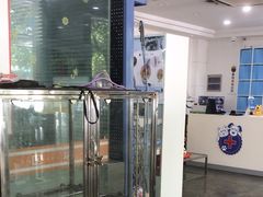 -暖阳宠物医院·犬猫康复中心·骨科