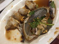 -长平肥姐白粥·海鲜打冷