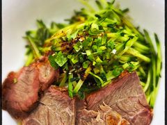 -南山鲜虾面·活鲜小馆·海味大连菜(南山总店)