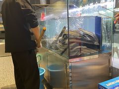 -本炙炭烤·蒲烧活鳗料理店(金沙洲店)