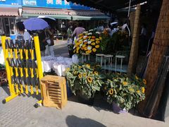 -循礼门鲜花花市(武汉循礼门店)