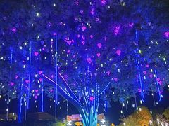 -歌斐颂巧克力小镇