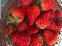 -谭鸭血老火锅(万象九宜城店)