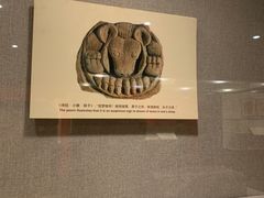 -南越王博物院(王宫展区)