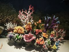 -山东博物馆