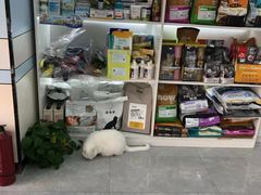 -中农国际动物医院24小时·猫科·骨科·急重症中心