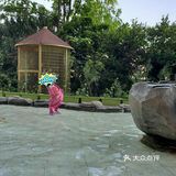 去看小动物咯