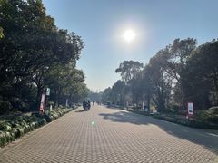 -上海海湾国家森林公园