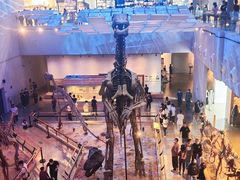 -广州科尔海悦酒店