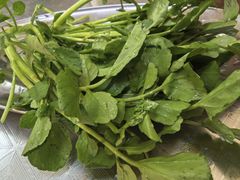 -楠波炭炉鸡煲馆(桥北店)