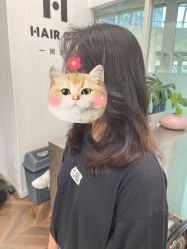 -青漾 young hair studio