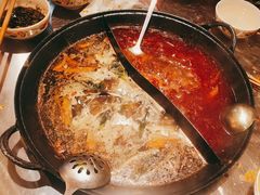 -朱光玉火锅馆(正弘城店)