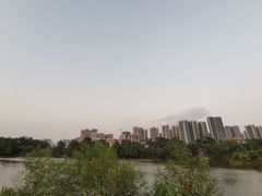 -大亚湾红树林城市湿地公园