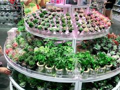 -KKV(深圳kk one 店)
