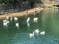 -石燕湖生态旅游景区