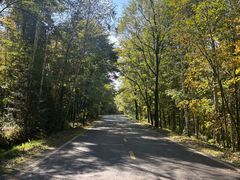 -五营红松林海景区