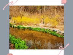 -白水寺森林公园