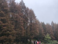 -山王坪喀斯特国家生态公园