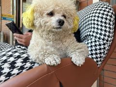 -管氏翅吧(护国寺店)