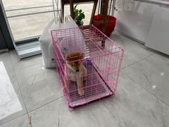 -瑞派·爱瑞可动物医院·口腔专科(广华新城分院)