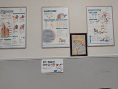 -谐和益家动物医院·免疫绝育·血液透析·宠保定点医院(高新伊藤分院)