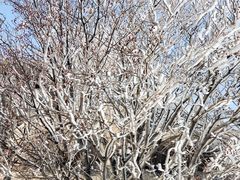 -崂山巨峰游览区