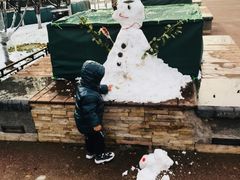 -大兴滨河森林公园