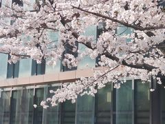 -浙江大学(紫金港校区)