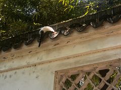-西园戒幢律寺