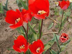 -廊坊文化艺术中心