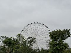 -凤岭儿童公园