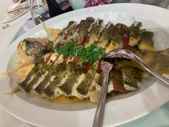 清蒸大黄鱼-伯衡55·吉品轩(乌鲁木齐南路店)