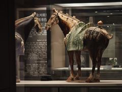 -西安大唐西市博物馆