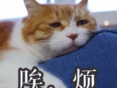 -麦当劳(西单明珠店)