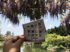 -嘉定紫藤园