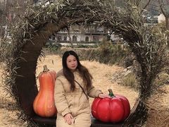 -塔川景区