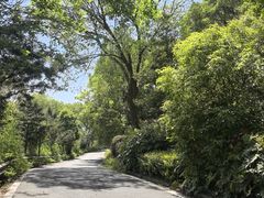 -汤山公园