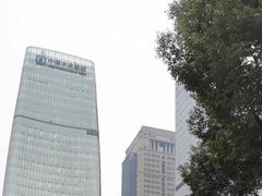 -重庆市江北嘴中央商务区中央公园