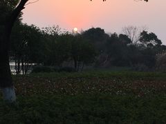 -艾溪湖湿地公园