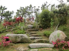 景点-瑶湖郊野森林公园