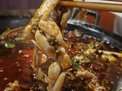 -鸿顺老铁锅美蛙鱼府(解放碑店)