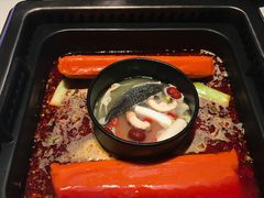 -鼎膳常火锅(华阳店)